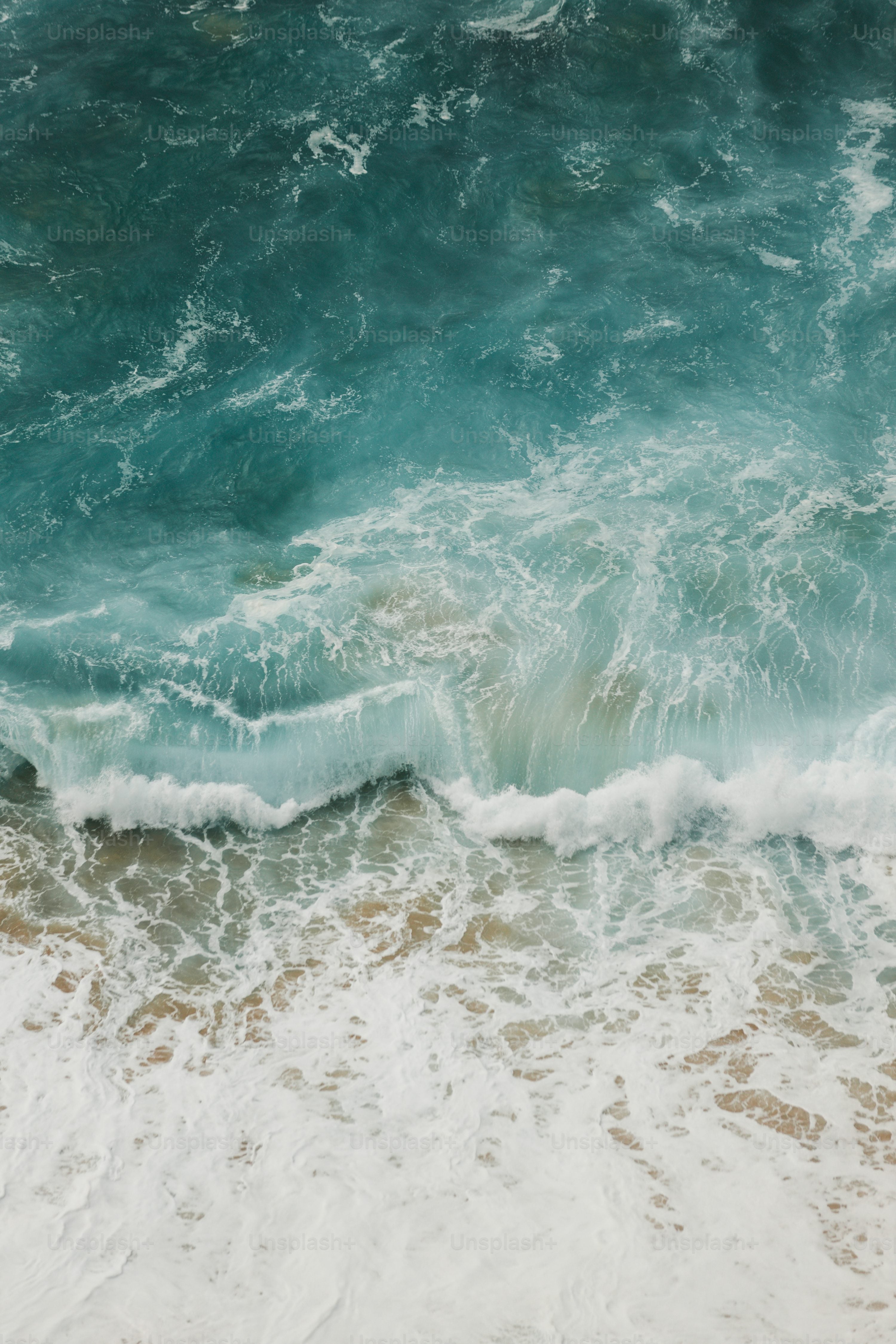 Terry Towel Collection