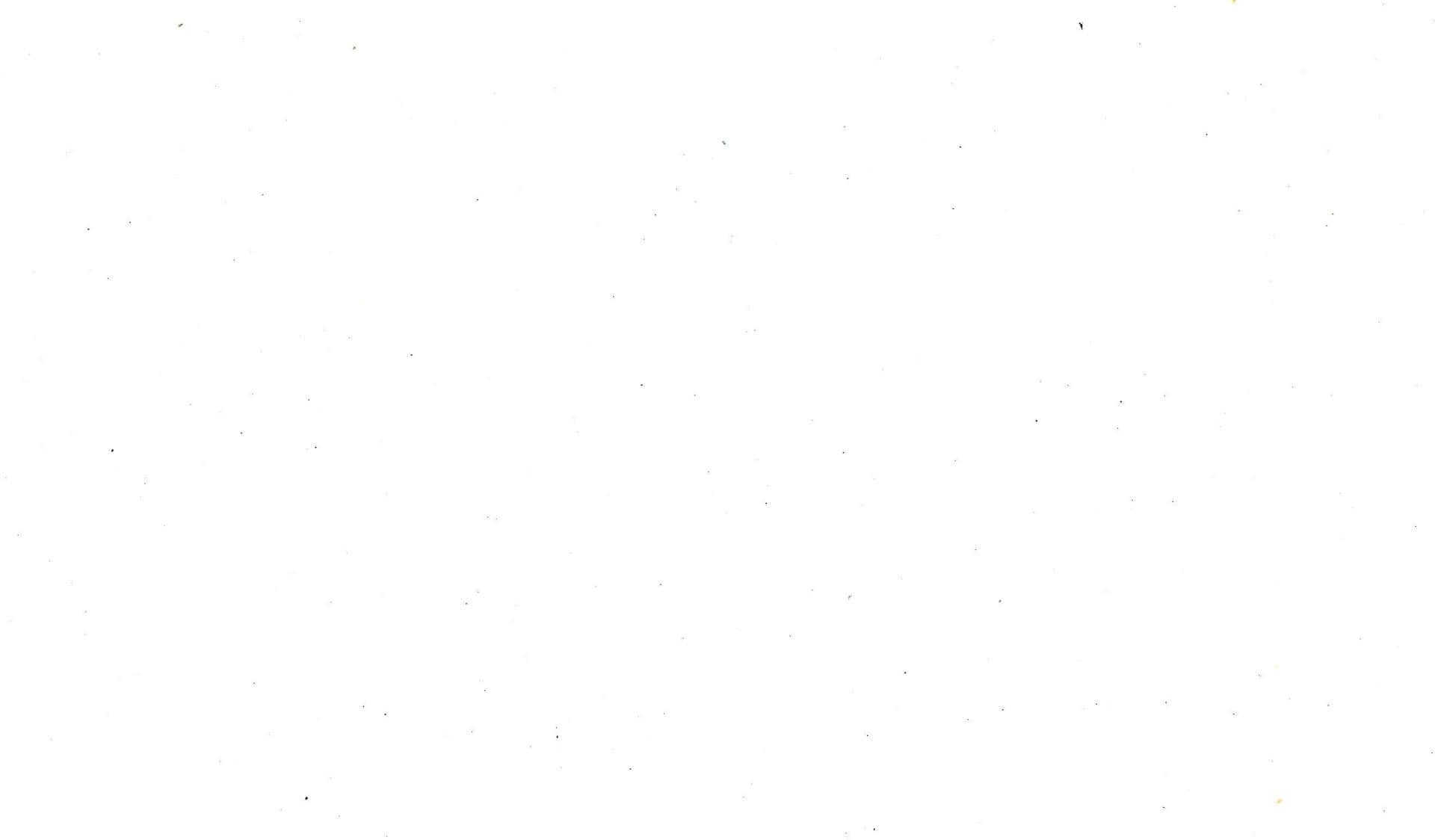 Wedding White *Limited Edition*