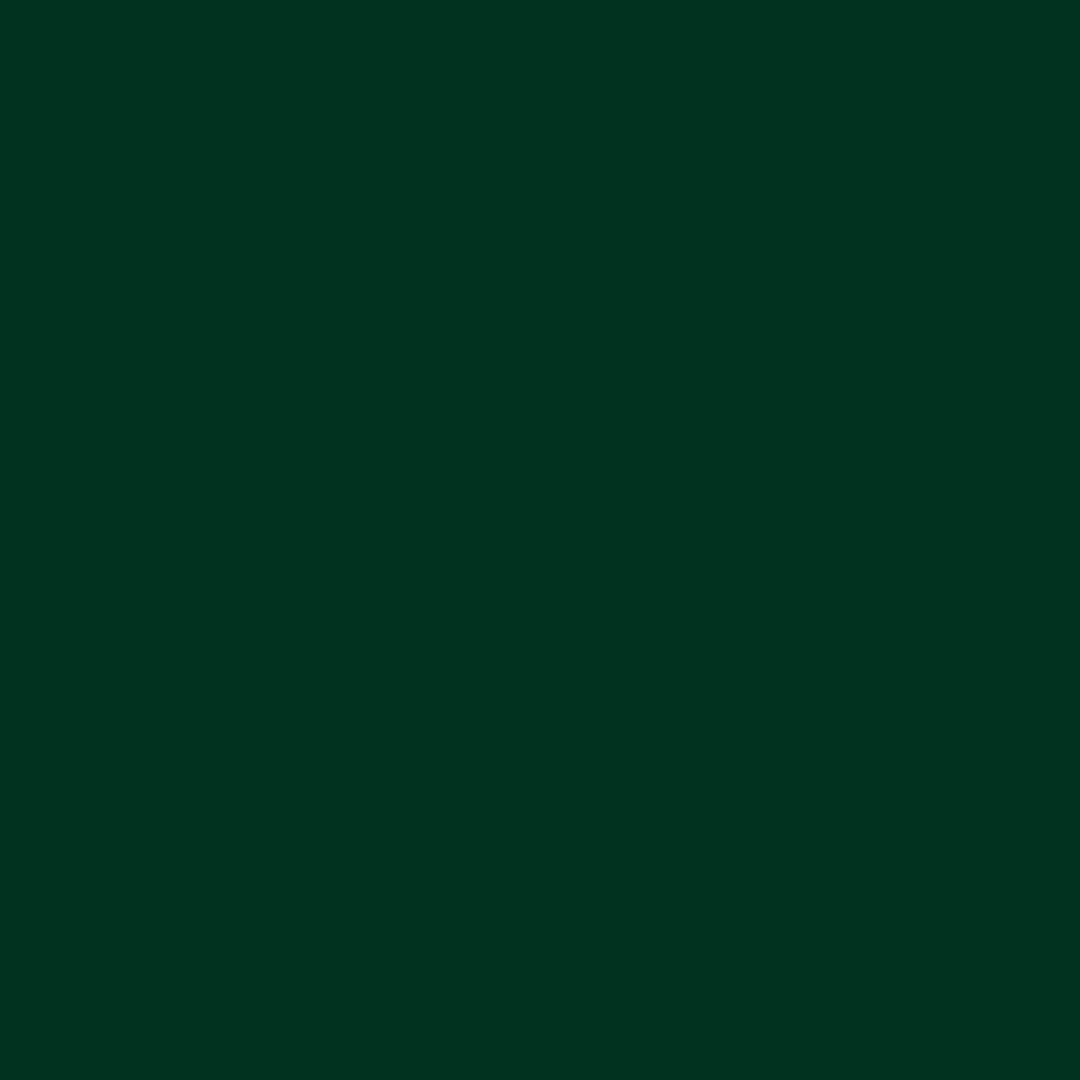Dark Green *Limited Edition*